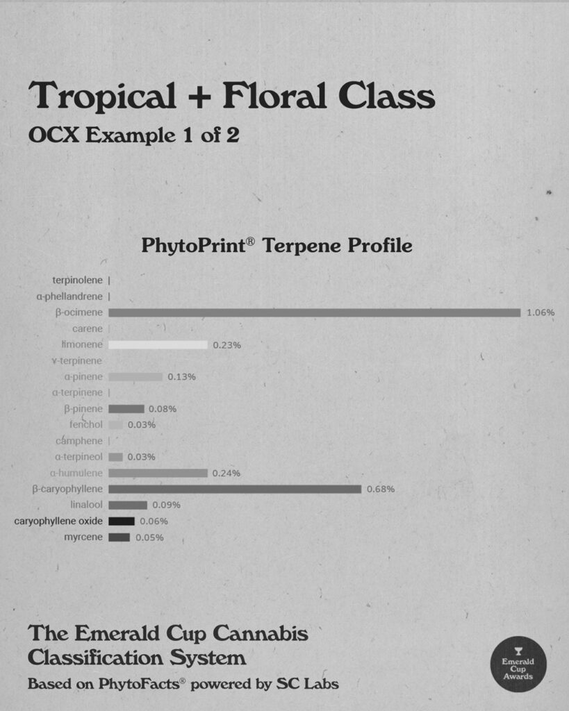 Terpenes Classification Test Results Sample