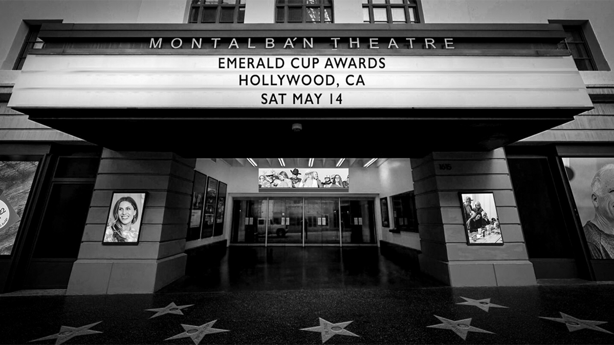 Emerald Cup Awards Show May 14