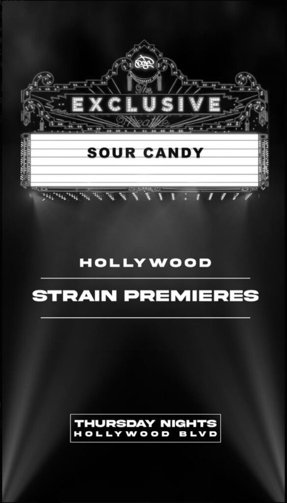 Hollywood Strain Premiers
